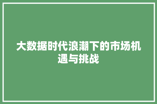 大数据时代浪潮下的市场机遇与挑战