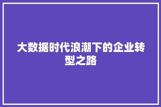大数据时代浪潮下的企业转型之路