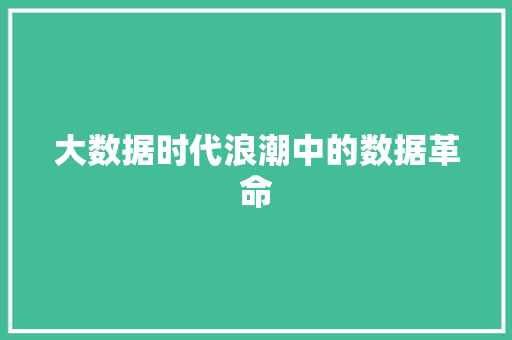 大数据时代浪潮中的数据革命