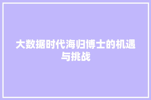 大数据时代海归博士的机遇与挑战
