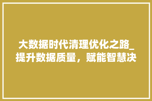 大数据时代清理优化之路_提升数据质量，赋能智慧决策