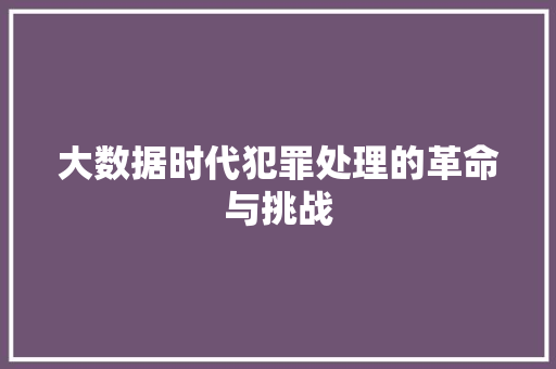 大数据时代犯罪处理的革命与挑战