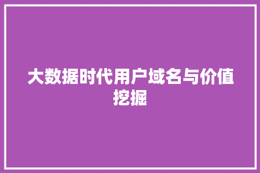 大数据时代用户域名与价值挖掘