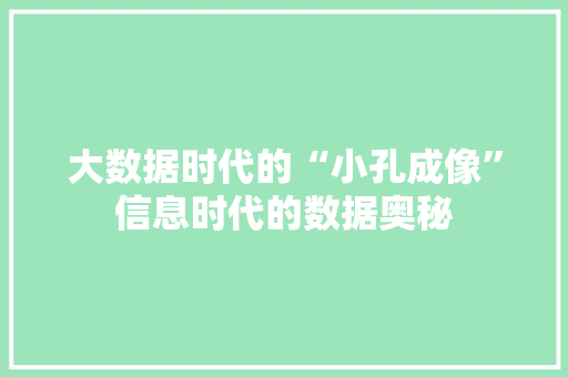 大数据时代的“小孔成像”信息时代的数据奥秘