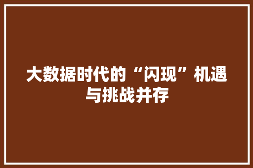 大数据时代的“闪现”机遇与挑战并存