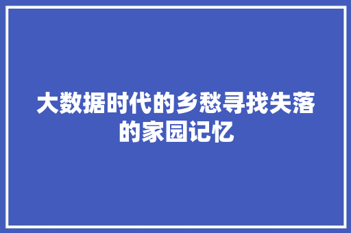 大数据时代的乡愁寻找失落的家园记忆