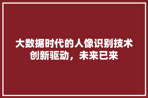 大数据时代的人像识别技术创新驱动，未来已来
