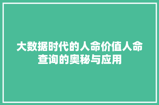 大数据时代的人命价值人命查询的奥秘与应用