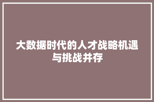 大数据时代的人才战略机遇与挑战并存
