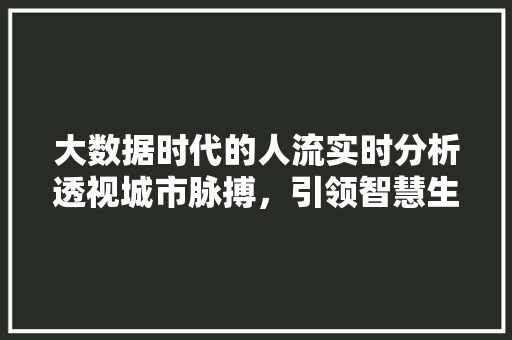 大数据时代的人流实时分析透视城市脉搏，引领智慧生活新潮流