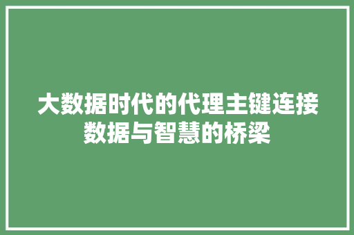 大数据时代的代理主键连接数据与智慧的桥梁