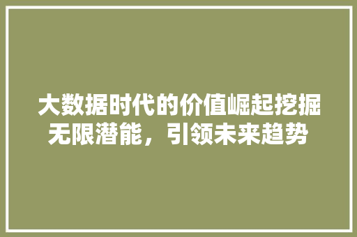 大数据时代的价值崛起挖掘无限潜能，引领未来趋势