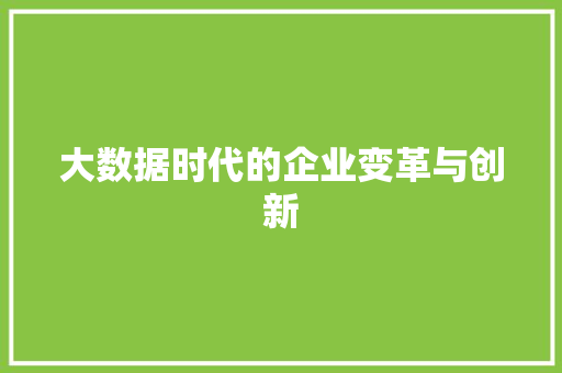 大数据时代的企业变革与创新