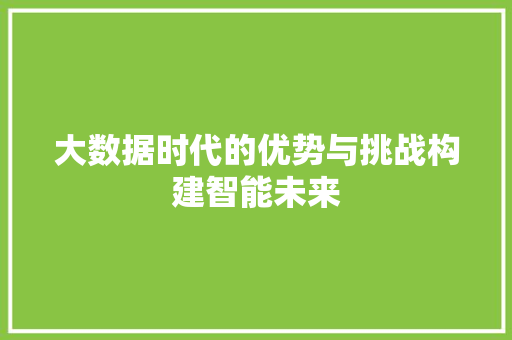 大数据时代的优势与挑战构建智能未来