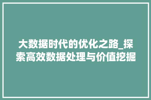 大数据时代的优化之路_探索高效数据处理与价值挖掘