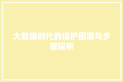 大数据时代的保护困境与步骤探析