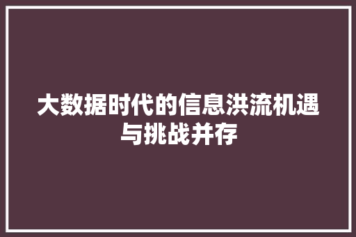 大数据时代的信息洪流机遇与挑战并存
