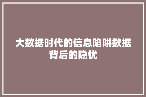 大数据时代的信息陷阱数据背后的隐忧