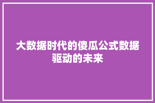 大数据时代的傻瓜公式数据驱动的未来