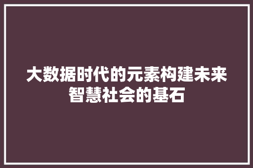 大数据时代的元素构建未来智慧社会的基石