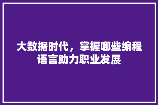 大数据时代，掌握哪些编程语言助力职业发展