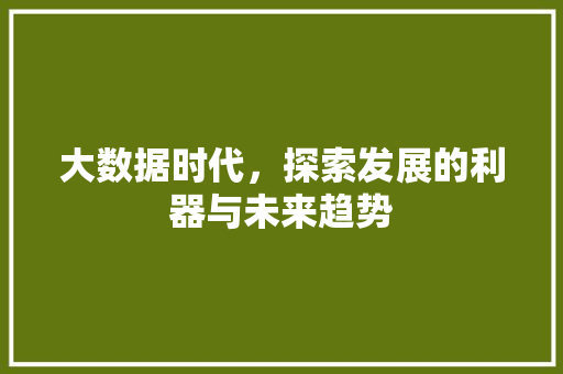 大数据时代，探索发展的利器与未来趋势