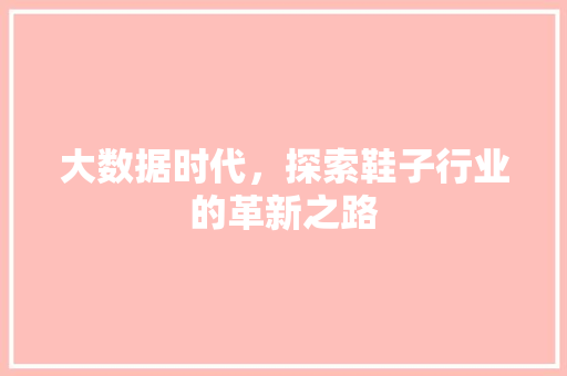 大数据时代，探索鞋子行业的革新之路