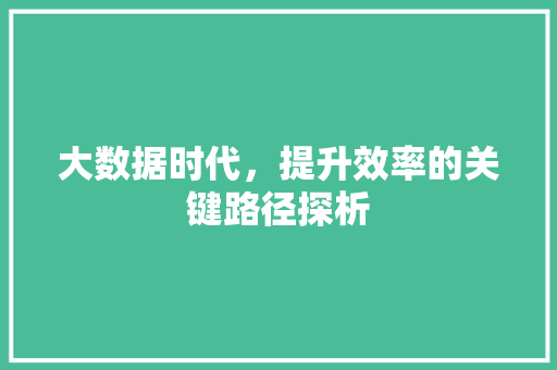 大数据时代，提升效率的关键路径探析