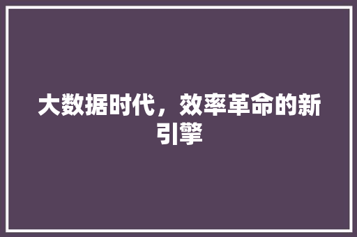 大数据时代，效率革命的新引擎