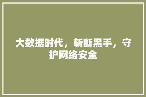 大数据时代,斩断黑手,守护网络安全 大数据时代,斩断黑手,守护网络安全