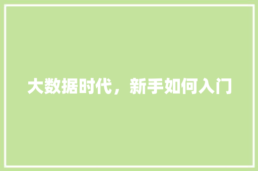 大数据时代,新手如何入门 大数据时代,新手如何入门