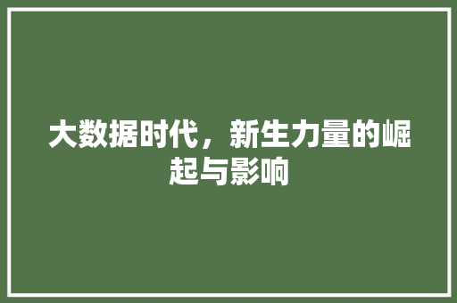 大数据时代,新生力量的崛起与影响 大数据时代,新生力量的崛起与影响
