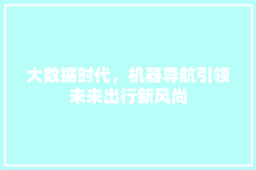 大数据时代，机器导航引领未来出行新风尚