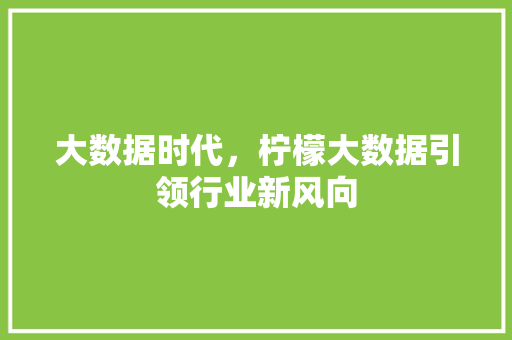 大数据时代，柠檬大数据引领行业新风向