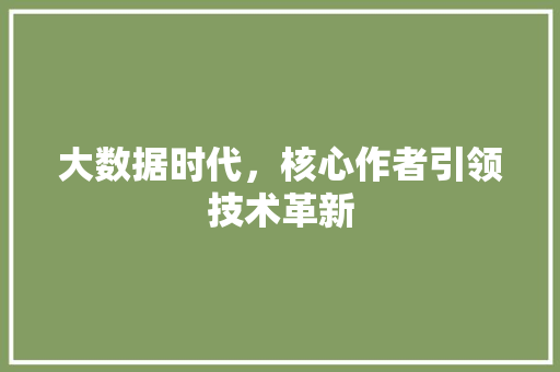 大数据时代，核心作者引领技术革新
