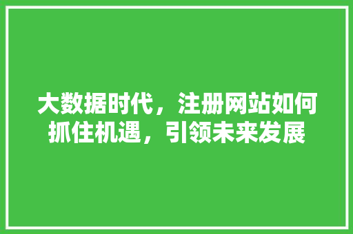 大数据时代，注册网站如何抓住机遇，引领未来发展