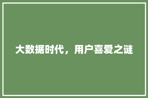 大数据时代，用户喜爱之谜 电脑基础