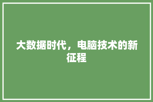 大数据时代,电脑技术的新征程 大数据时代,电脑技术的新征程