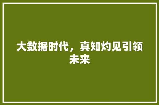 大数据时代,真知灼见引领未来 大数据时代,真知灼见引领未来