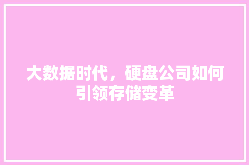 大数据时代，硬盘公司如何引领存储变革