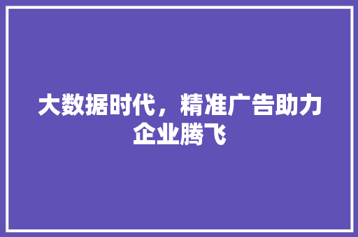 大数据时代，精准广告助力企业腾飞