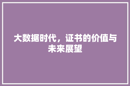 大数据时代，证书的价值与未来展望