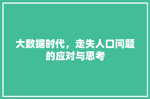 大数据时代，走失人口问题的应对与思考