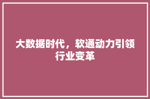 大数据时代，软通动力引领行业变革