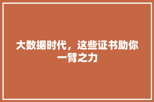 大数据时代，这些证书助你一臂之力