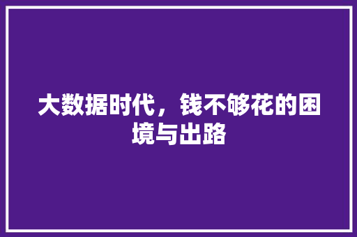 大数据时代，钱不够花的困境与出路