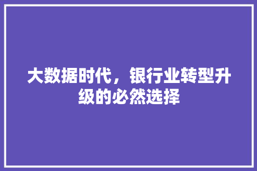 大数据时代，银行业转型升级的必然选择