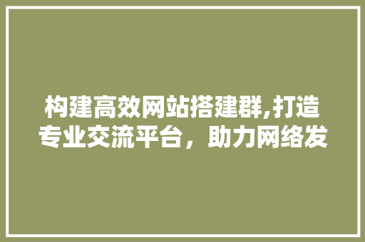 构建高效网站搭建群,打造专业交流平台，助力网络发展 构建高效网站搭建群,打造专业交流平台，助力网络发展 网络技术