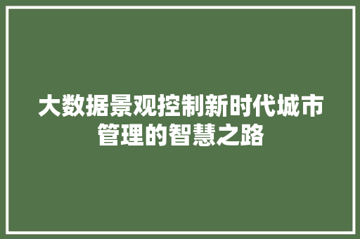 大数据景观控制新时代城市管理的智慧之路