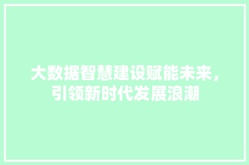大数据智慧建设赋能未来，引领新时代发展浪潮